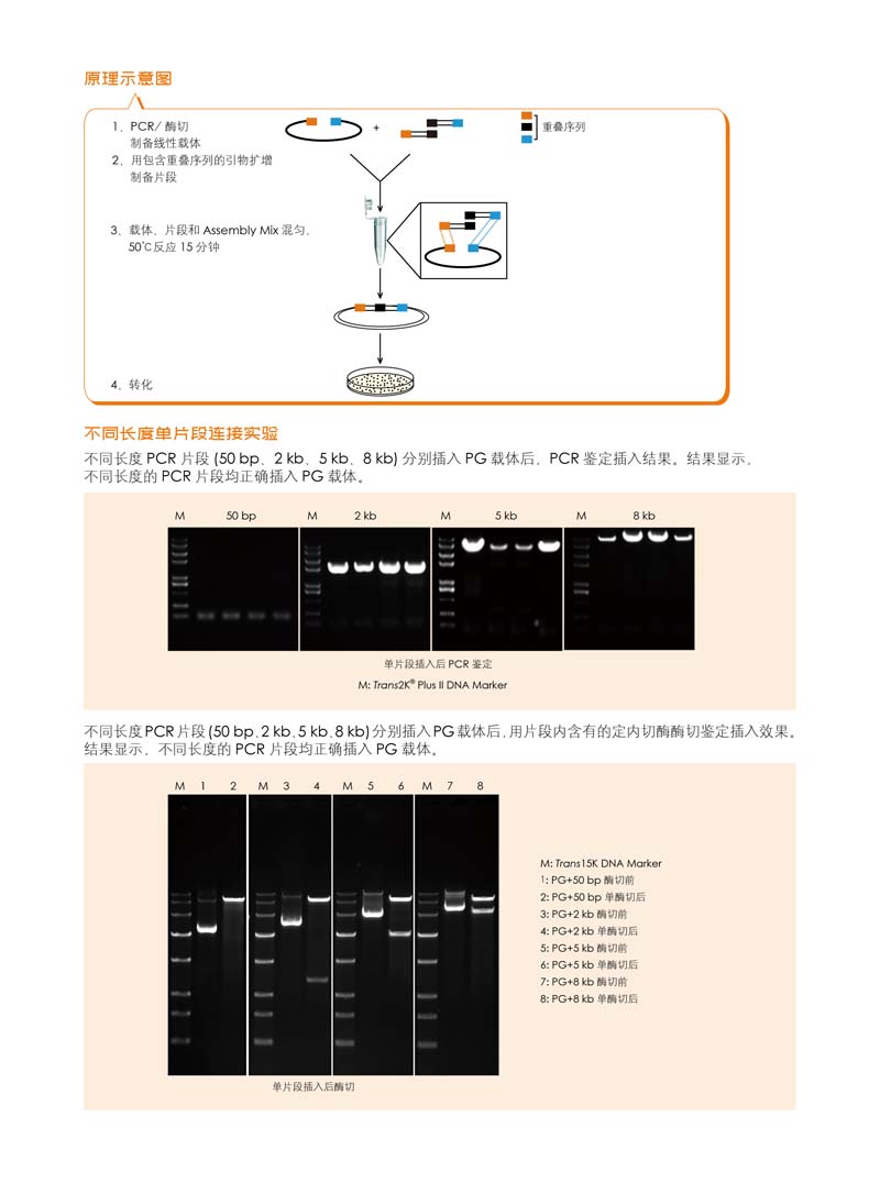 全式金生物無縫拼接產(chǎn)品