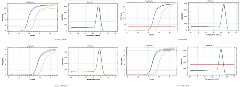 使用TransGen產(chǎn)品，以200 ng RNA、200 ng RNA+200 ng gDNA、200 ng gDNA為  模板進(jìn)行反轉(zhuǎn)錄后定量擴(kuò)增不同基因。結(jié)果表明，TransGen產(chǎn)品具有強(qiáng)的gDNA去除能力。